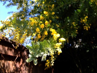 DSCF8275_R