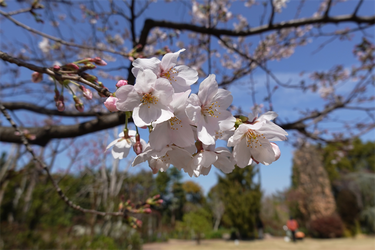 DSC06168_R