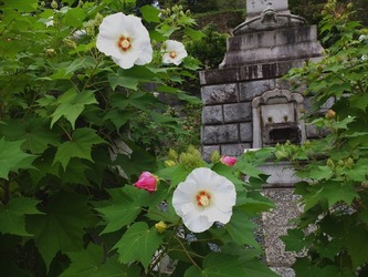 DSCF1835_R