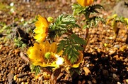 DSCF0707_R