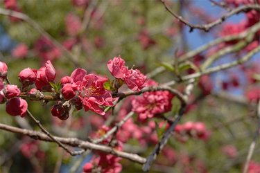 DSC05838_R