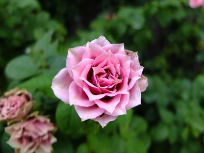 DSCF5053_R