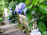 DSCF2644_R