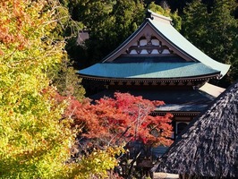 DSCF0086_R