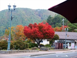 DSCF5319_R