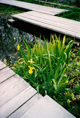 30a5854f.jpg