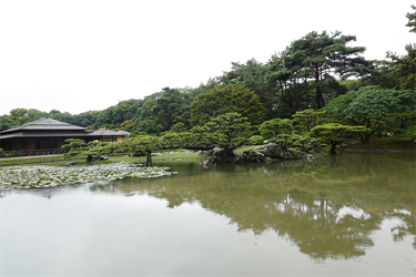 DSC09598_R