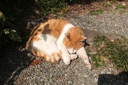 DSCF9821_R