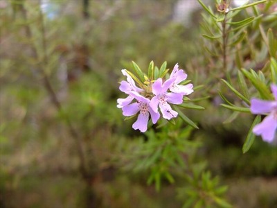 DSCF1532_R
