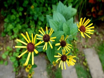 DSC01716_R