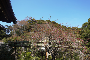DSC06280_R