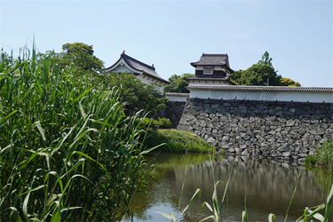 DSC07999_R