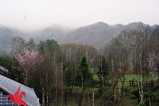 31c00d84.jpg