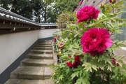 DSCF1188_R