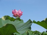 DSCF2915_R
