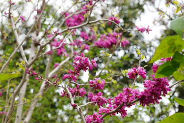 DSC06533_R