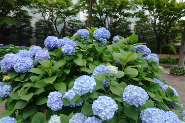 DSC08020_R