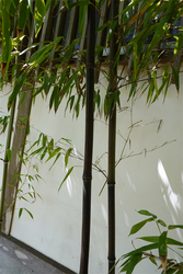 DSC07686_R