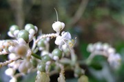 DSCF5362_R