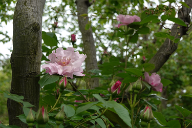 DSC06853_R