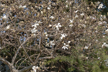 DSC00571_R