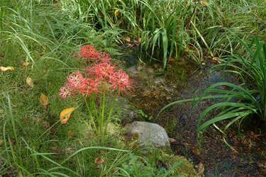 DSC09977_R