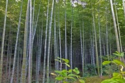 DSCF7928_R
