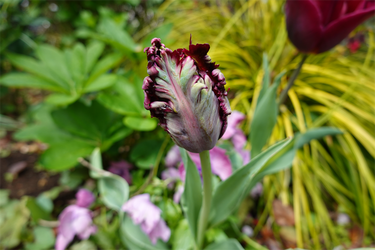 DSC06546_R