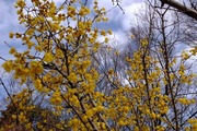 DSCF9225_R