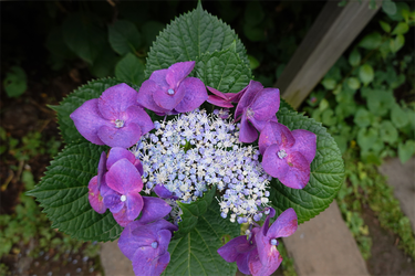 DSC08345_R