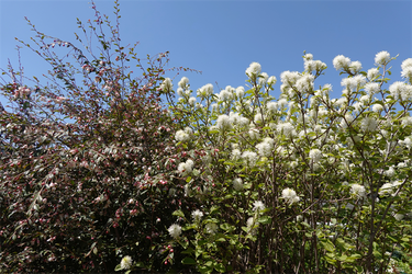 DSC06691_R