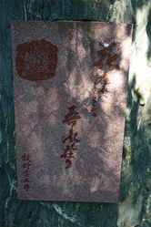 DSC03436_R