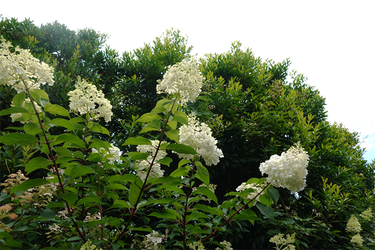 DSC08745_R