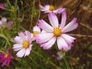 DSCF5165_R