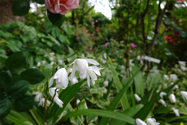 DSC01861_R