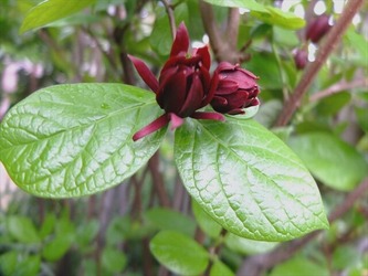 DSCF9923_R