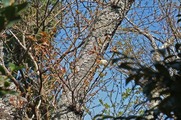 DSCF2127_R
