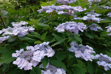 DSC08314_R