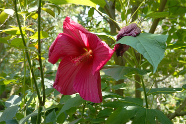 DSC08779_R