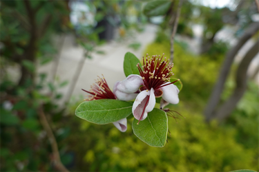 DSC08021_R