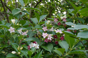 DSC07025_R