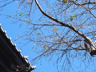 DSCF6307_R