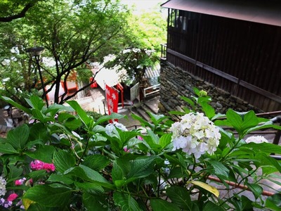 DSCF6599_R