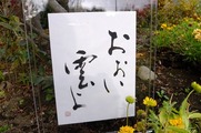 DSCF6898_R