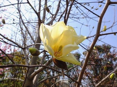 DSCF7865_R