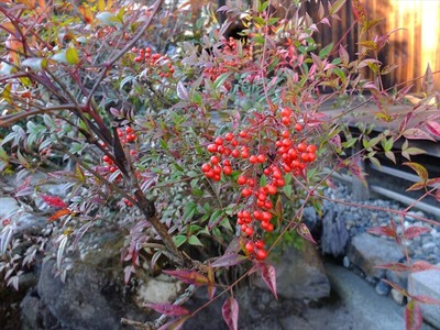 DSCF9539_R