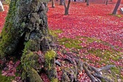 S0878201_R