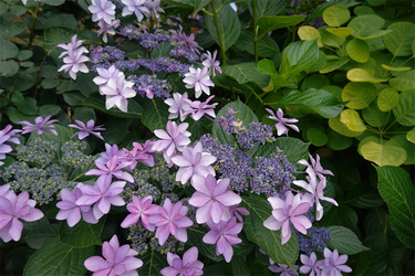 DSC08284_R