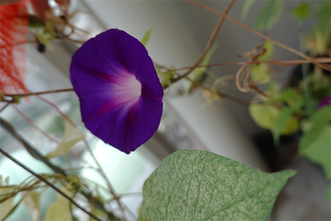 DSC09339_R