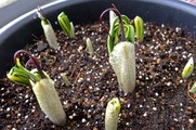 DSCF1491_R